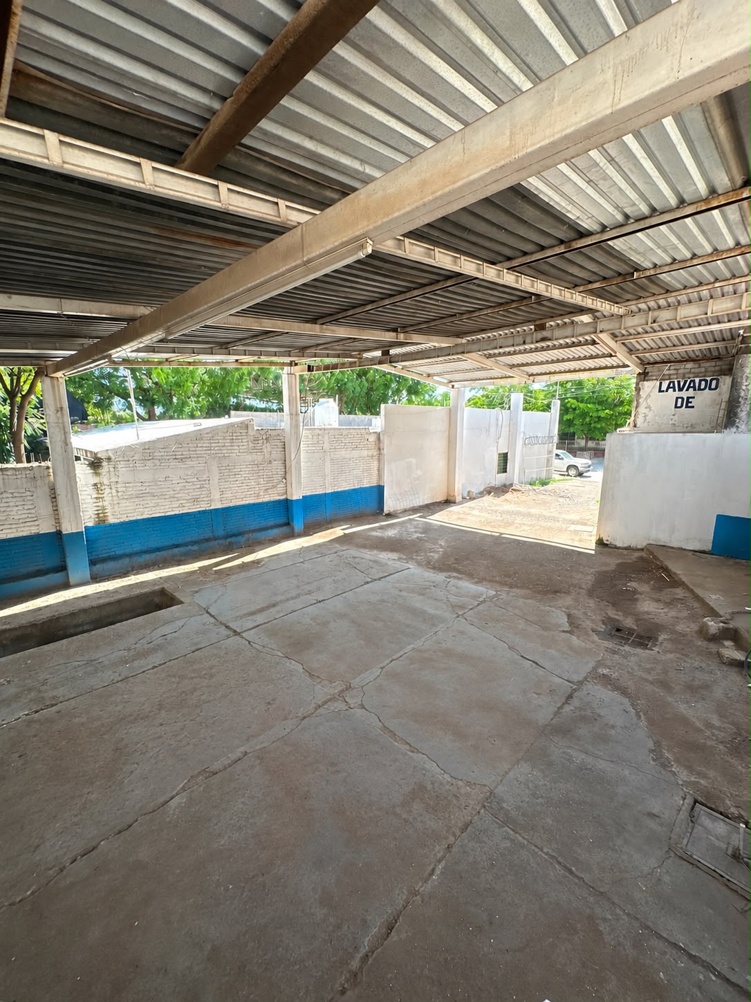 Propiedad Colonia Juarez 4