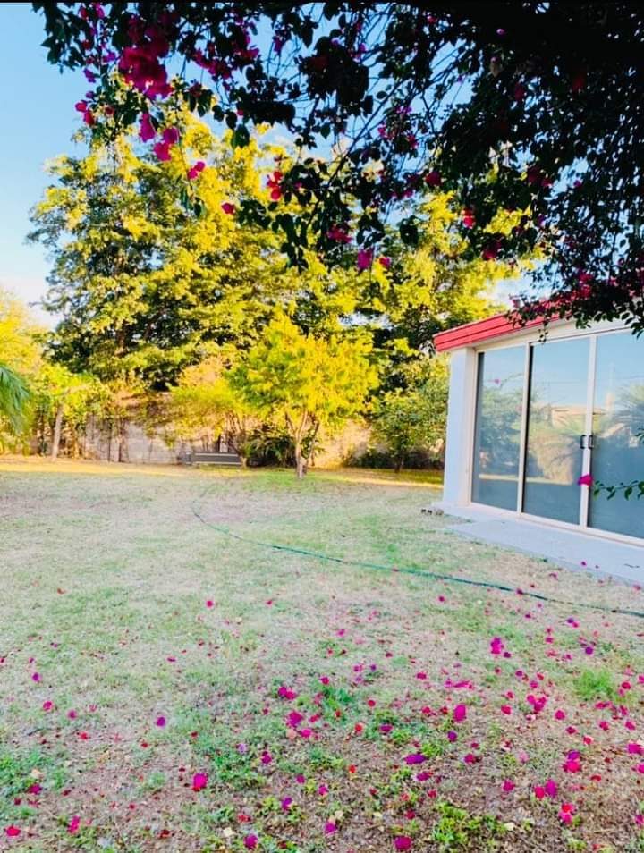 Casa en venta en Tabachines, Angostura — foto 6