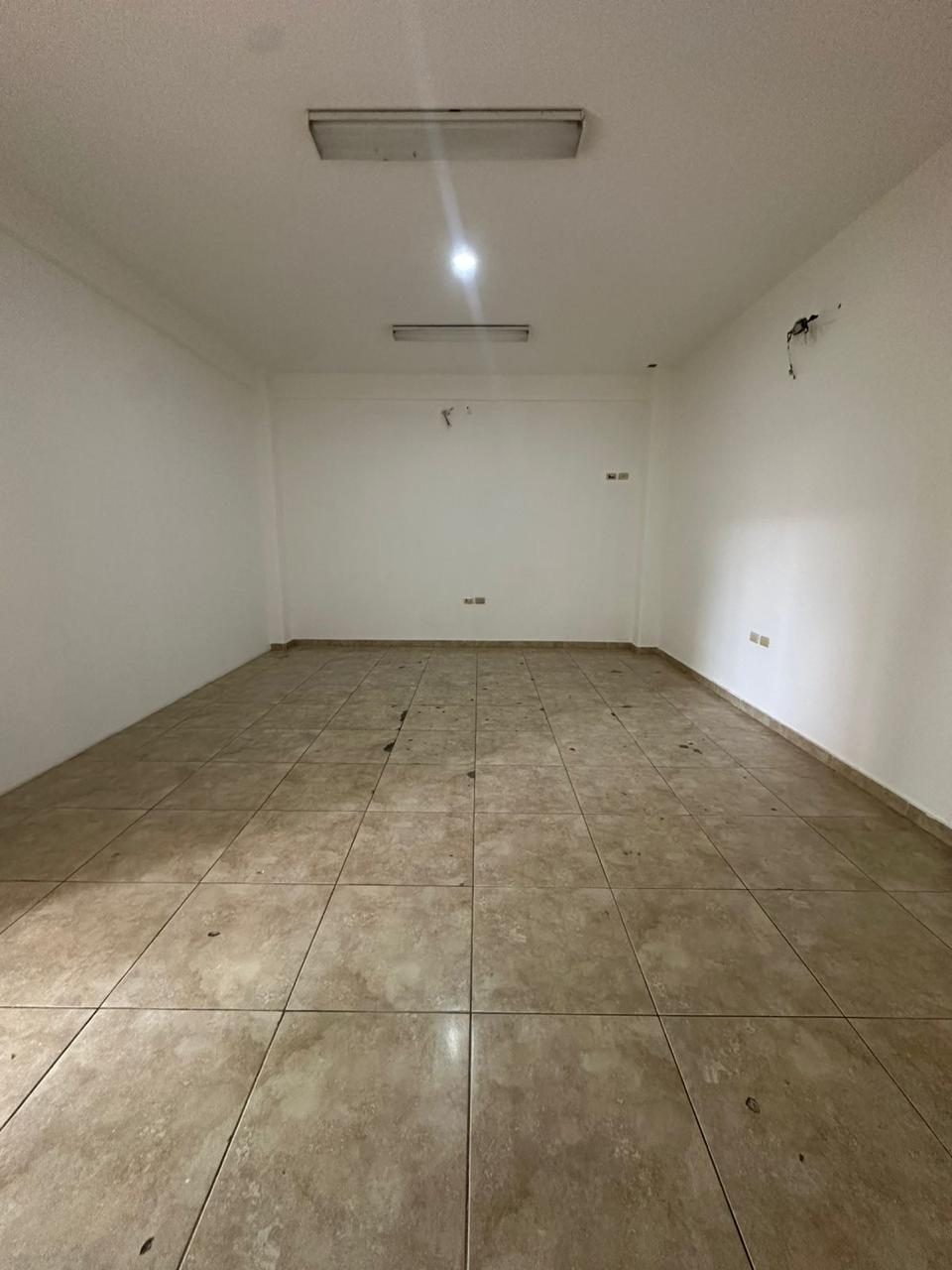 Propiedad en renta en Morelos, Guamúchil — foto 6