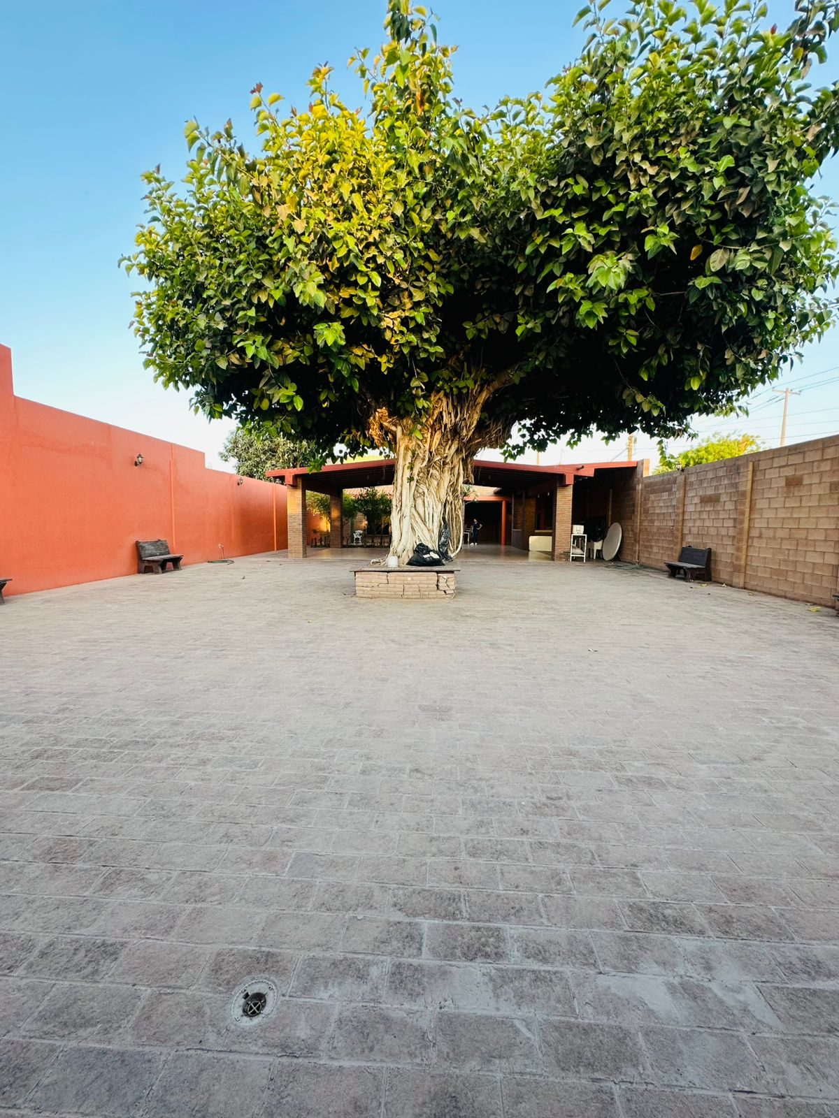 Casa en venta en Guamúchil — foto 11