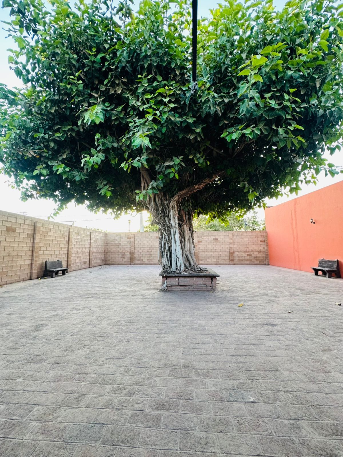 Casa en venta en Guamúchil — foto 24