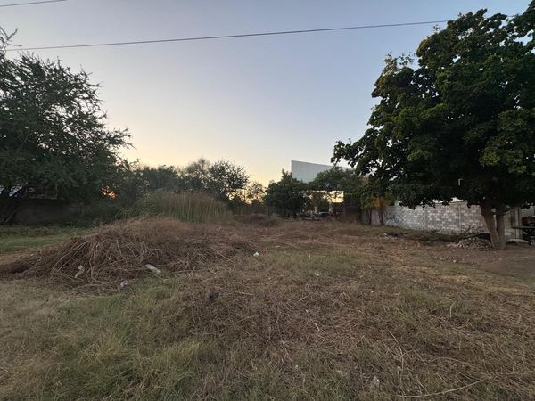 Terreno en venta en Cuauhtémoc, Guamúchil — foto 2