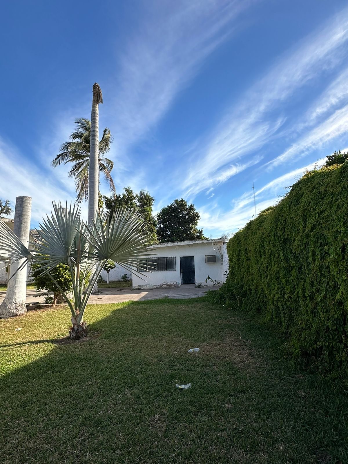 Propiedad en venta en Angostura, Angostura — foto 14