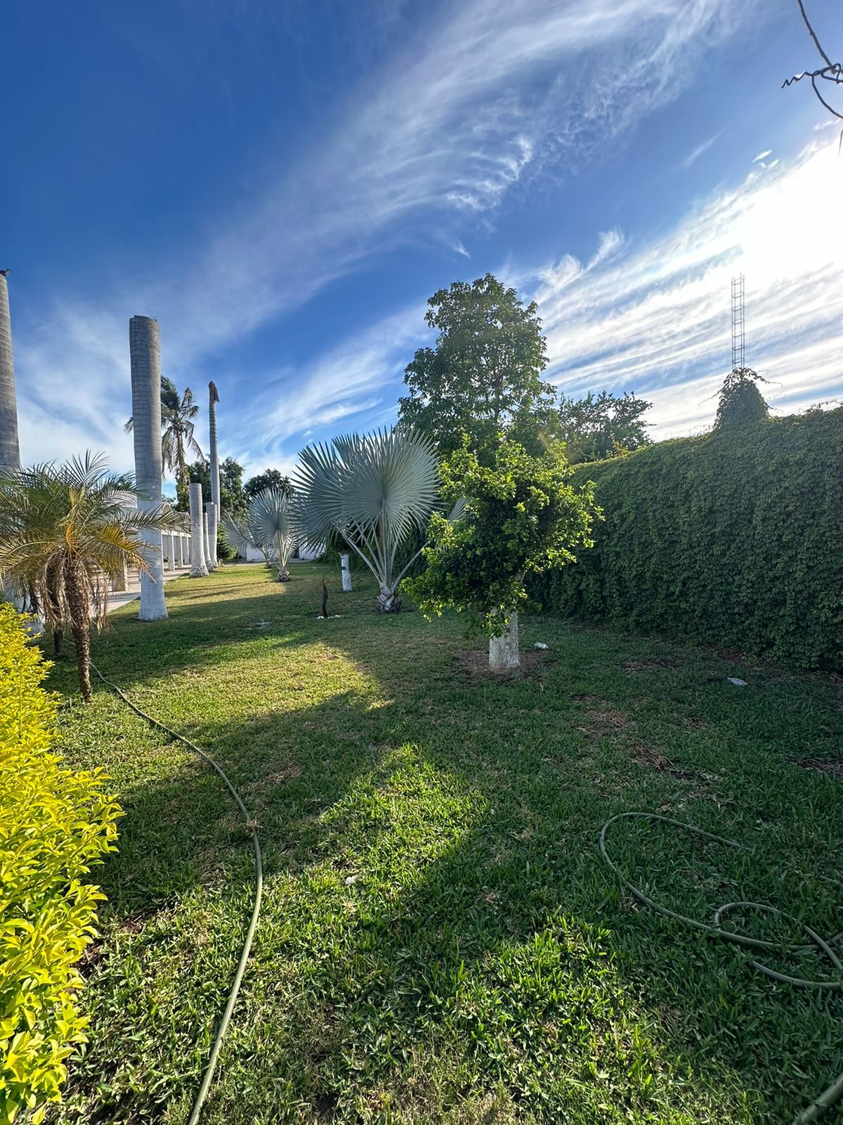 Propiedad en venta en Angostura, Angostura — foto 11