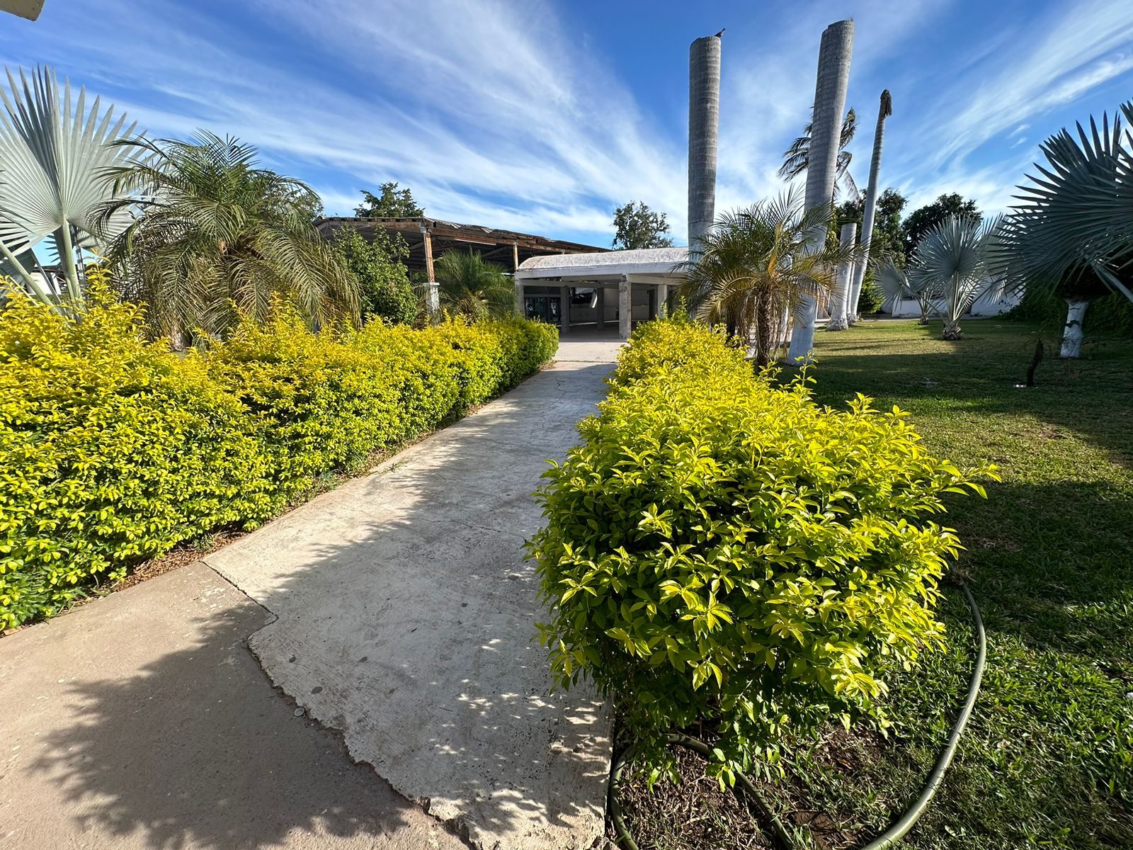 Propiedad en venta en Angostura, Angostura — foto 7